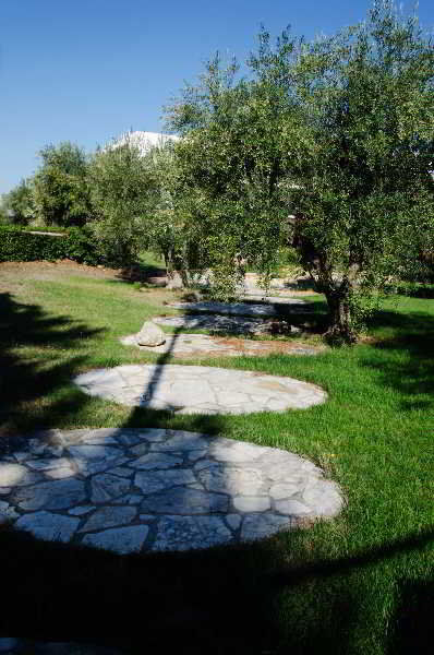 B&B Poggio Delle Ginestre Rutigliano Exterior photo